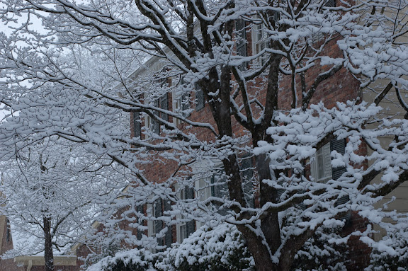 DSC_0266