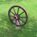IMG_1183.jpg