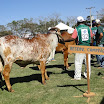 superleite2011_dia1607_09.JPG
