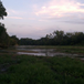View album