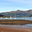 The Huge Harbour At Low Tide:  Note the Cruise Ship on the Far Right - Akaroa, New Zealand