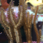 DSC_2155.jpg