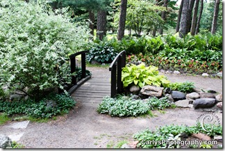 St Cloud Gardens-26