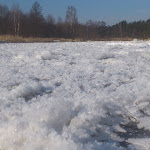 DSC_0473.JPG