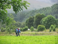 IMG_2810 IMG_2810