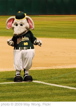 'Stomper' photo (c) 2009, May Wong - license: http://creativecommons.org/licenses/by/2.0/