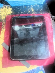 IMG_0448 IMG_0448