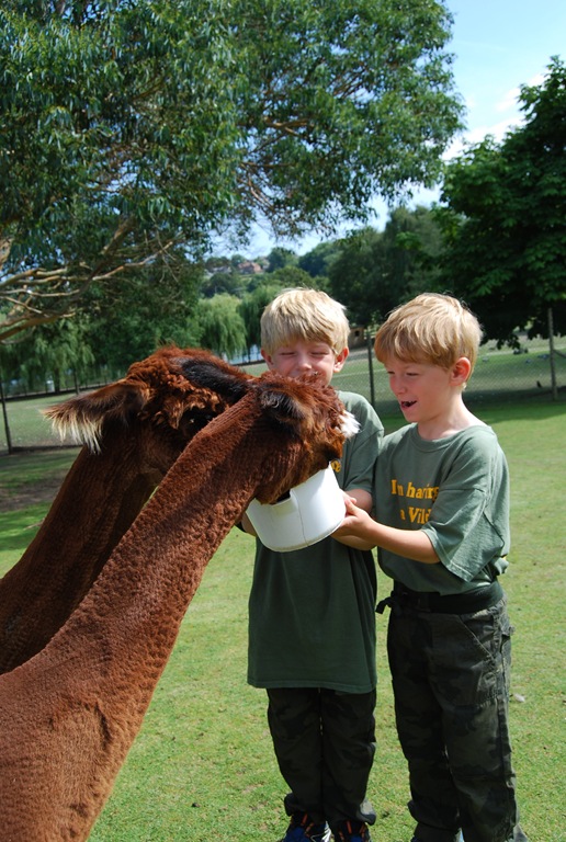 [DSC_0638%255B7%255D.jpg]