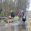 hondenwandeling 26-12-2011 003.JPG