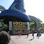 Florida08 238.jpg Florida08 238.jpg