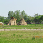 IMG_7506.JPG