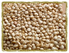 Quinoa Grain crop 027 Quinoa Grain crop 027