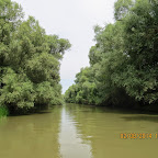 IMG_5200.JPG
