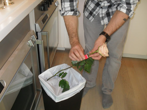 Here, Tom uses the stem stripper to take off several extra leaves. This rose is a Sahara.Using the stem stripper makes the job quick and easy and you won't have to come in contact with any nasty thorns.