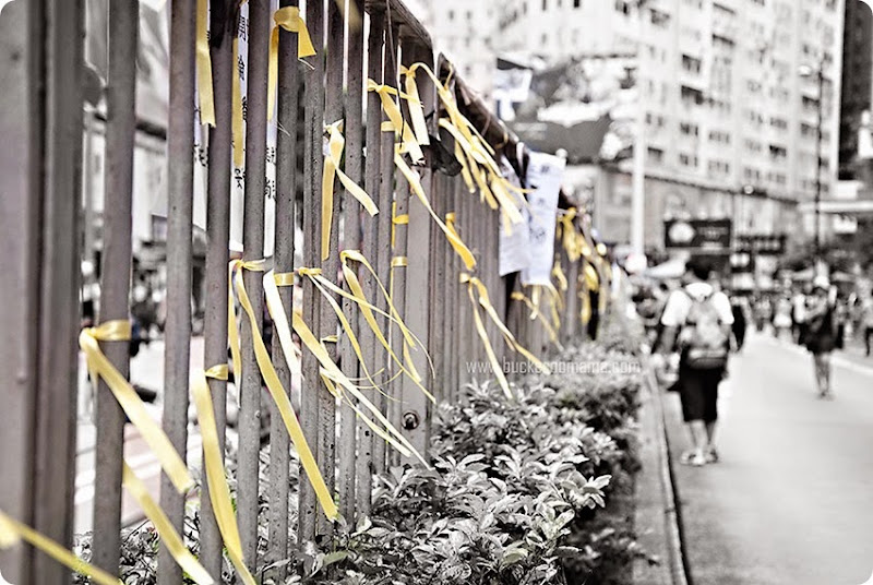 Yellow-ribbons-(1) Yellow-ribbons-(1)
