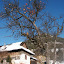 P1010002.JPG