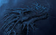 Great Blue Dragon