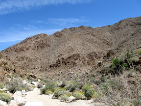 The route up the East Fork is for the most part easily descernible.