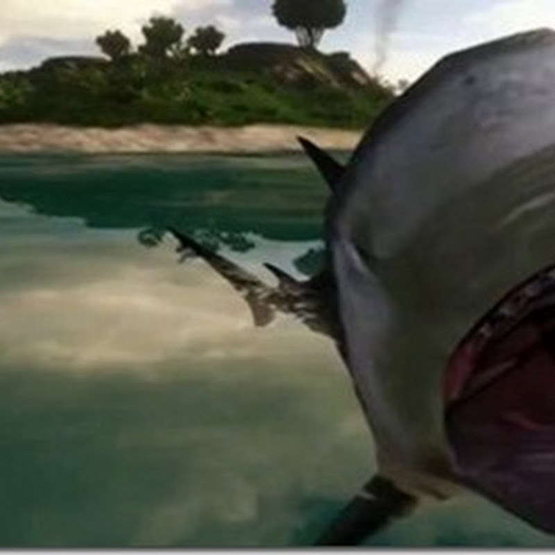 Im neuen Far Cry 3 Trailer verprügelt Jason Brody einen Hai