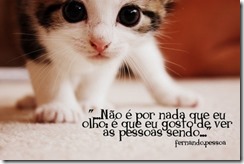 fernando-pessoa-frases (9) fernando-pessoa-frases (9)