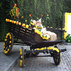 Festa dos Tabuleiros