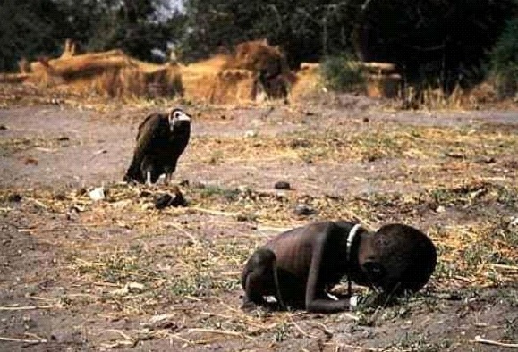 [Vulture-waits-for-child-to-die%255B2%255D.jpg]