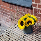 20100815_082_small.JPG