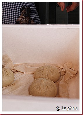 IMG_1796 IMG_1796