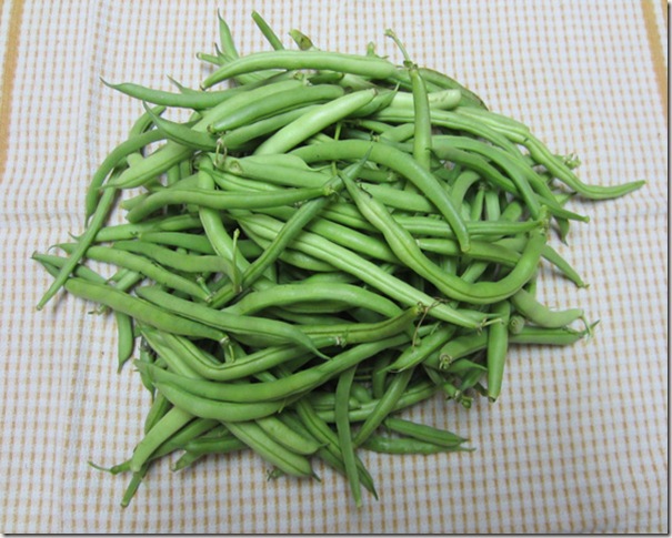 Pole beans