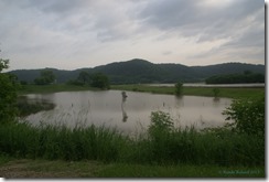 Yucatan Flood RR01