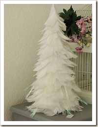 IMG_7743 IMG_7743