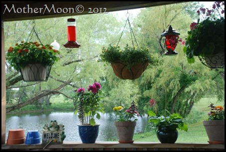 my window 2012