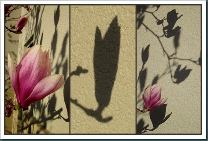 shadow art2 shadow art2