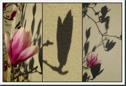 shadow art2