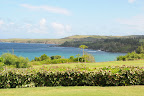 DSC_5132.JPG