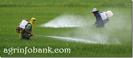 Pesticides are penetrating deep into plants tissues: agrinfobank.com