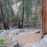 Trilha para Ella Falls - Sequoia e Kings Canyon NP, California. EUA