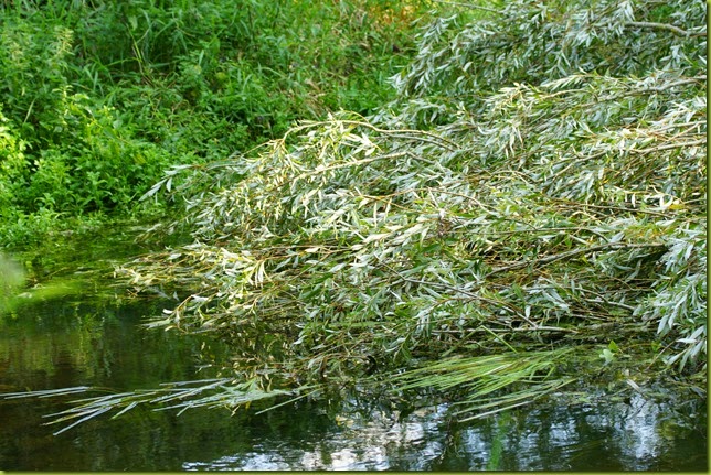 Fakenham river