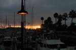 IMG_7424.jpg