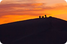 _MG_3506-1 _MG_3506-1