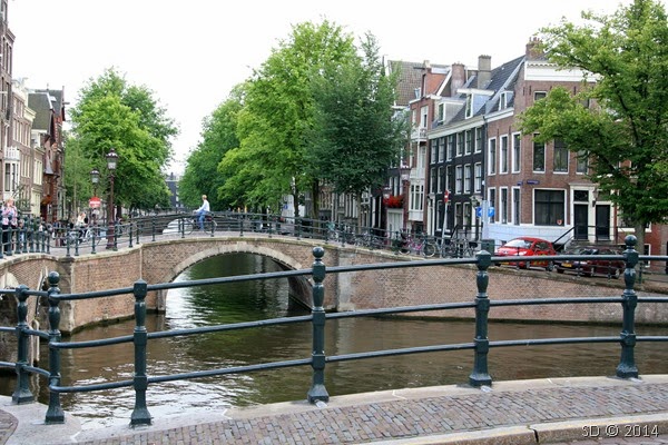 IMG_7329 IMG_7329