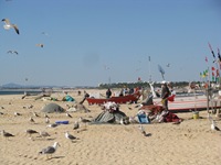 IMG_2609 IMG_2609