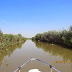 IMG_5739.JPG