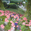 DSC06211.JPG