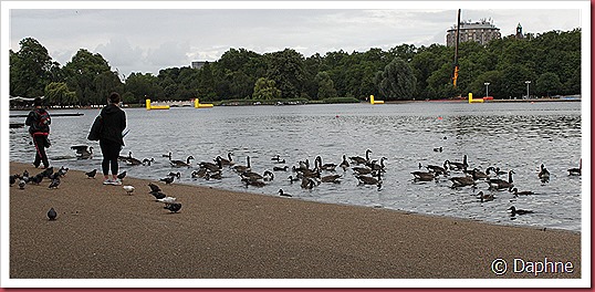 IMG_9074 IMG_9074