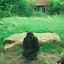 2013 - Visite du zoo d'Amnéville 8 septembre 2013