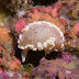 P6158329