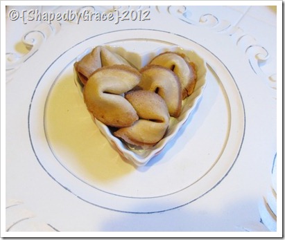 IMG_0787 IMG_0787