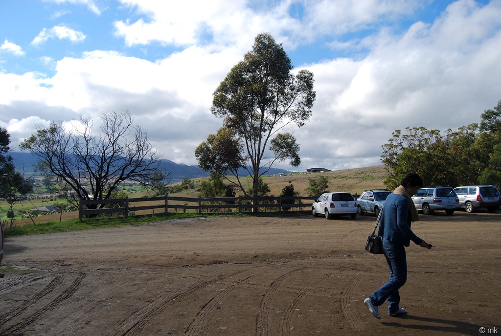 [DSC_04906.jpg]