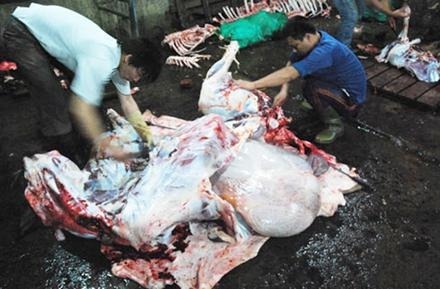Lò giết mổ gia súc nhỏ lẻ, mất vệ sinh ở xã Kim  Sơn (Gia Lâm, Hà Nội). 